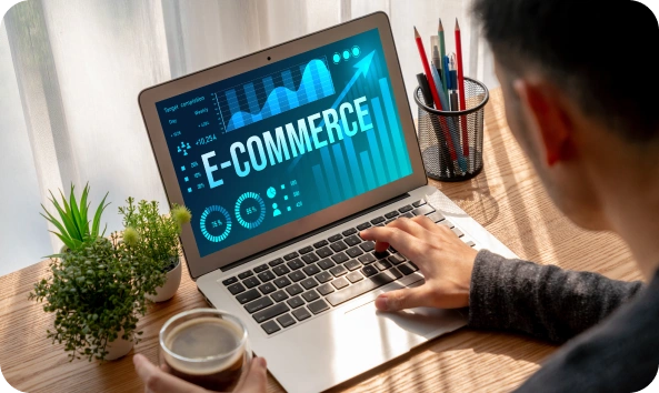 eCommerce Developers