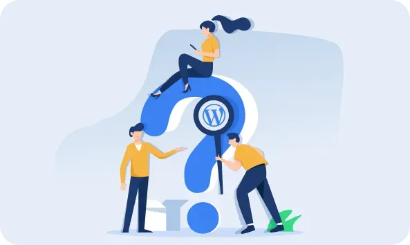 Hire WordPress Developers