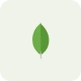 MongoDB
