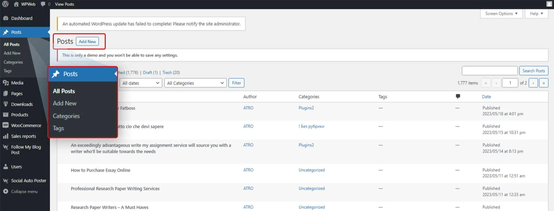 What are WordPress Posts