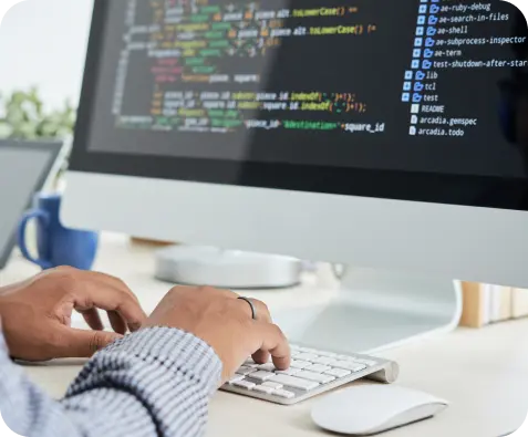 Software development outsourcing services