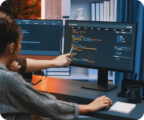 Software consulting service